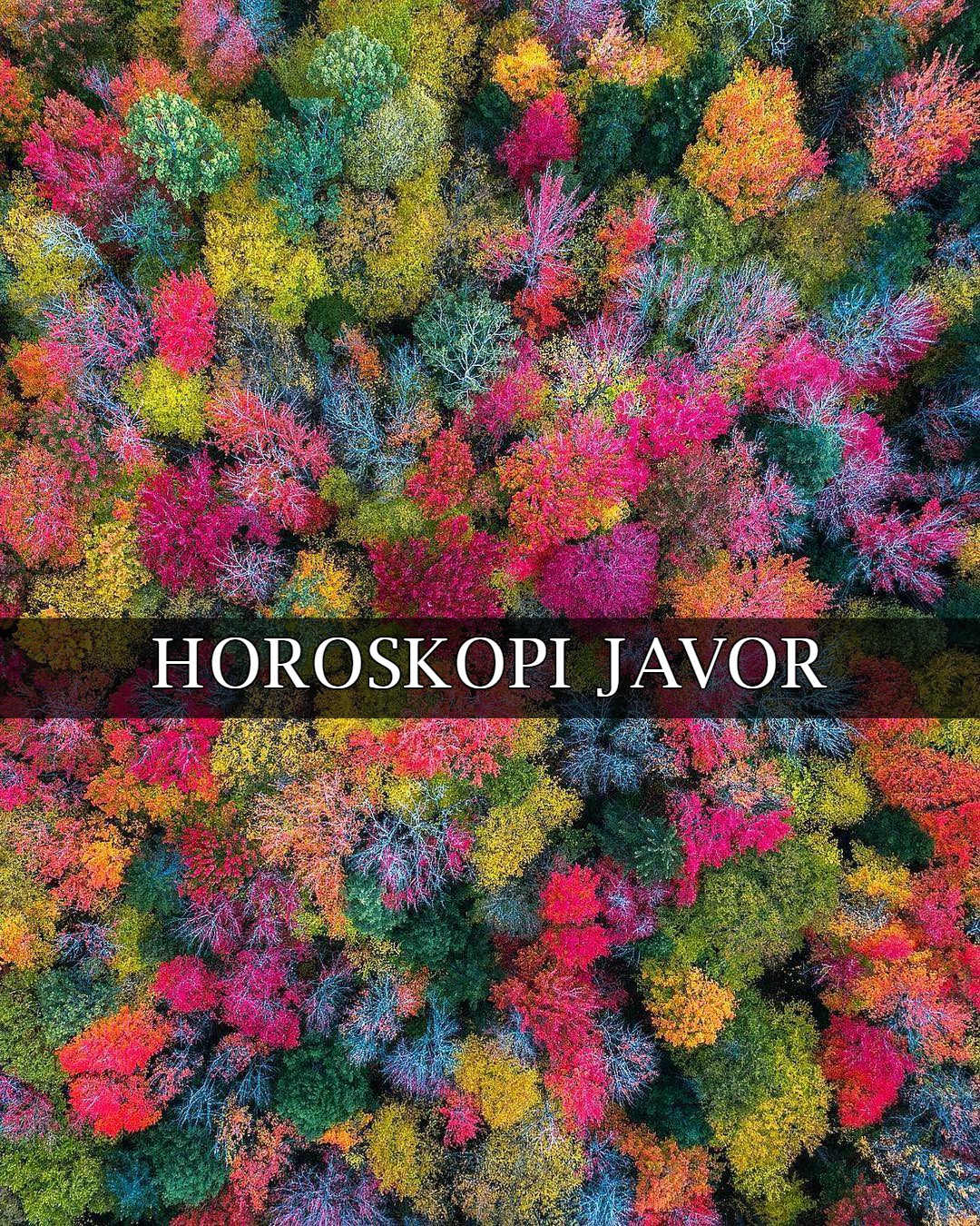 Horoskopi Javor 17 Gusht 23 Gusht 2020 www.lexo.al